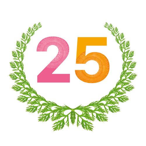 25 Jahre P-ART