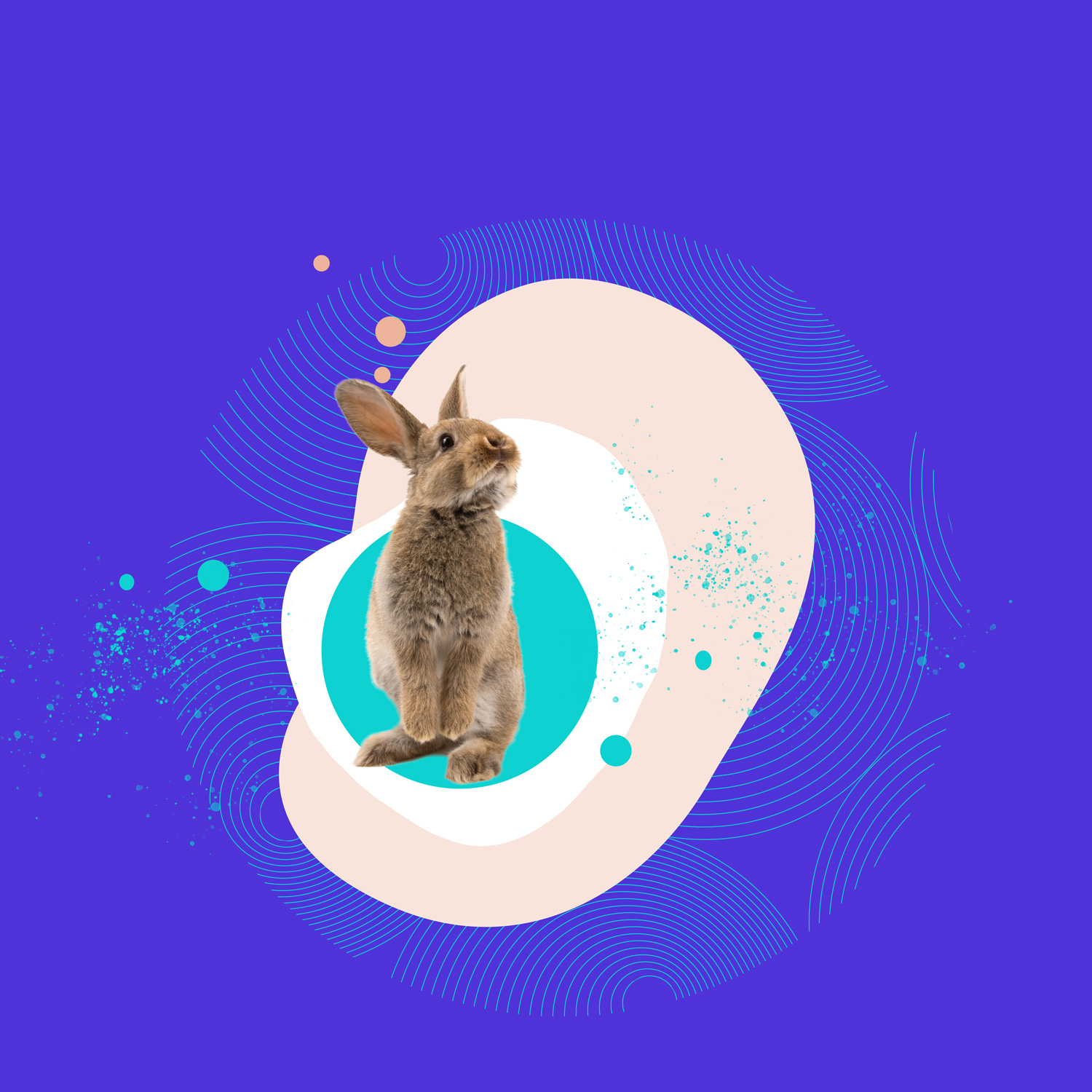 Animierte Illustration zur Visualisierung des Angebots der Podcastschmiede, Thema Ostern