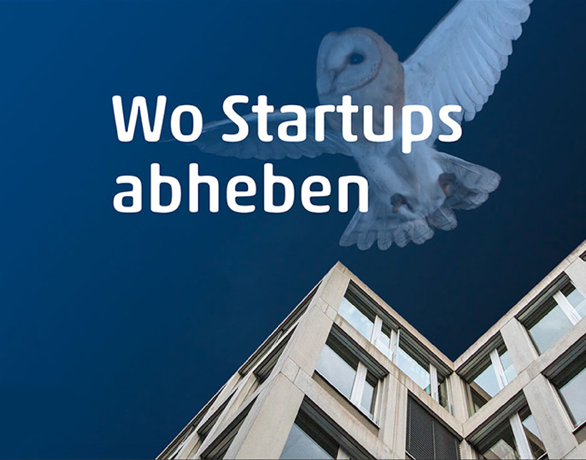 Eine Eule hebt ab über dem Technopark Winterthur