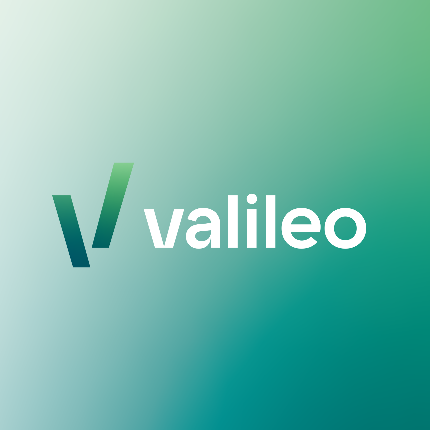 Marke Valileo, Firmenname und Entwicklung des Corporate Designs mit Logo und Briefschaft