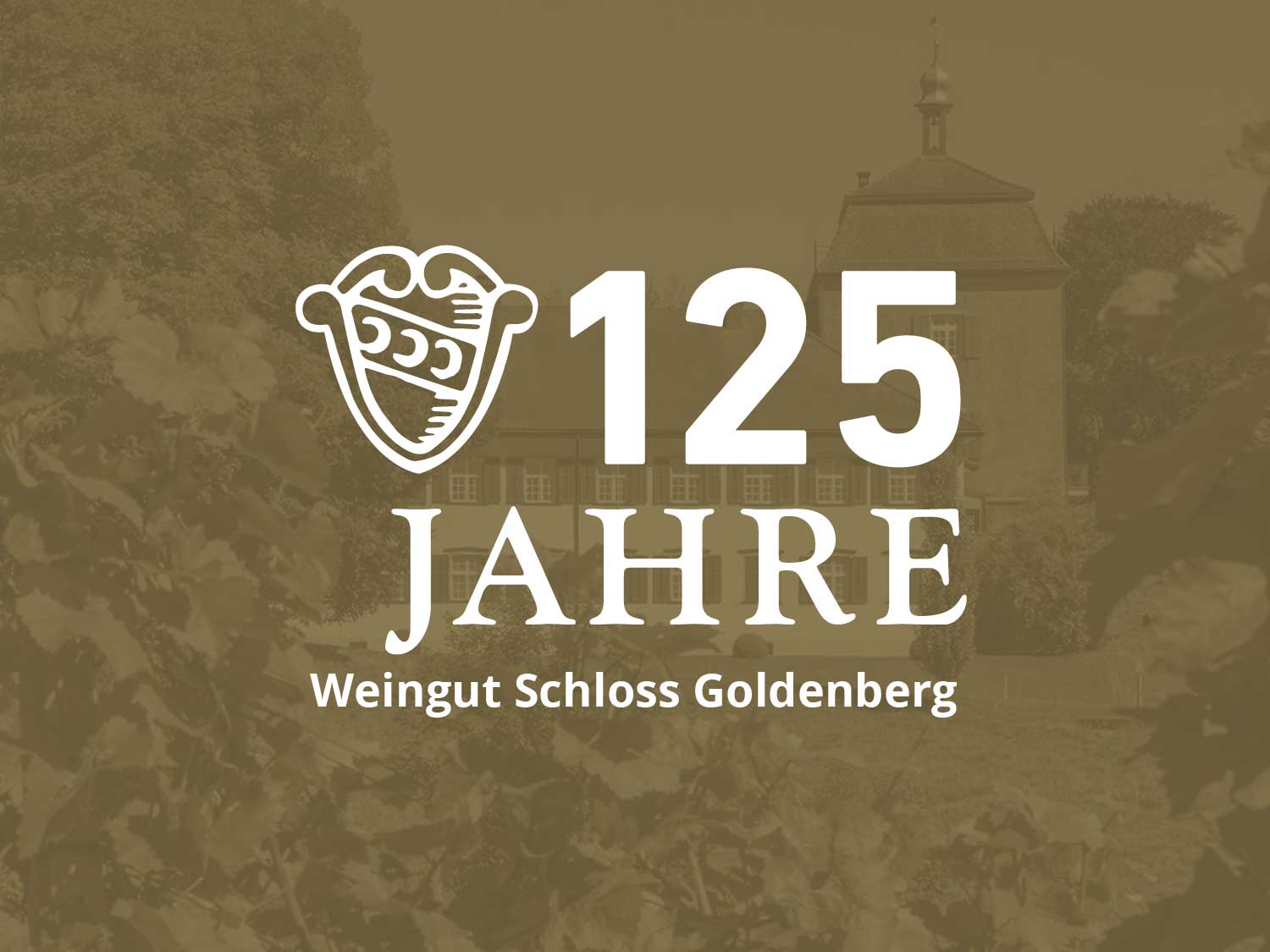 Jubiläumssignet 125 Jahre Weingut Schloss Goldenberg